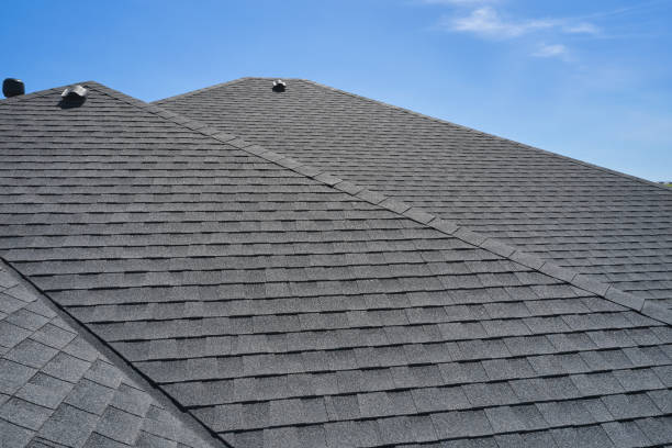 Professional Roofing in Detroit Lakes, MN